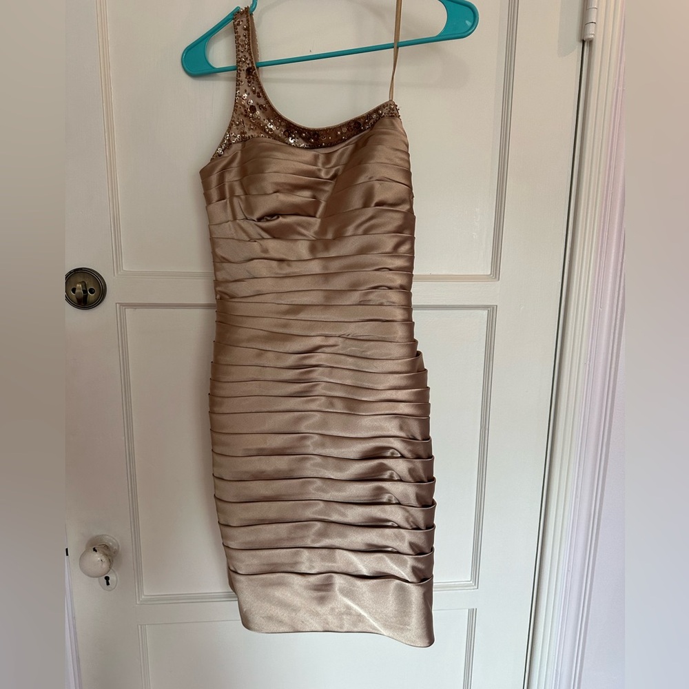 Adriana Papell Dress